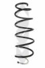 SPIDAN 86577 Coil Spring